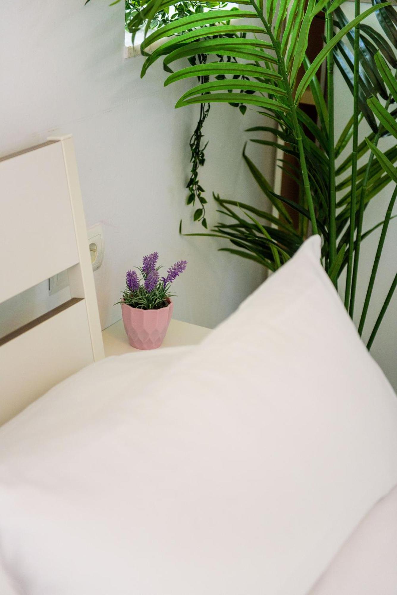 Appartement Livingtarifa Bianco